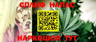 молекула духа Балахна
