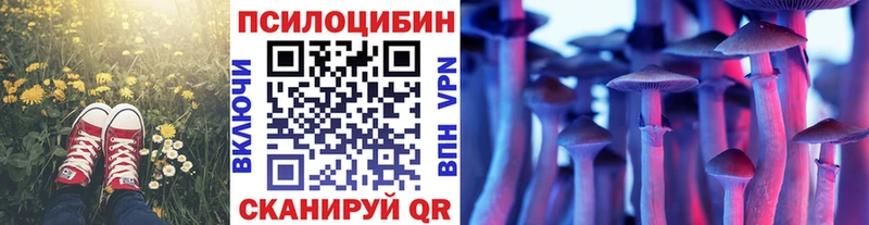 Псилоцибиновые грибы Magic Shrooms  кракен зеркало  Михайловск 