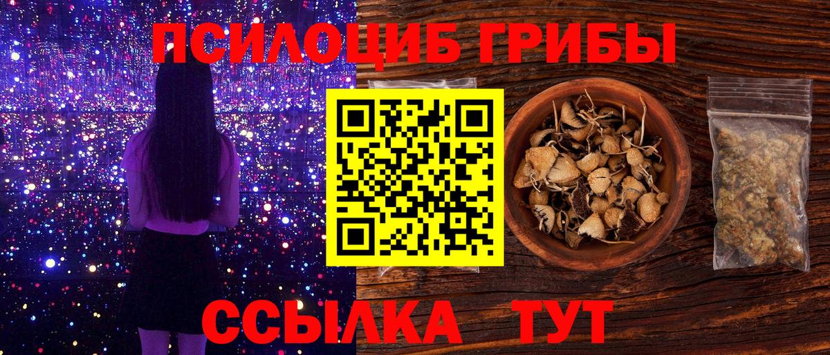Михайловск  Галлюциногенные грибы ЛСД  Вход с VPN 